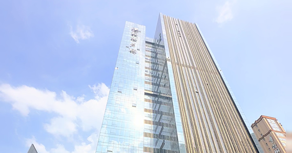 查询域名污染的网址