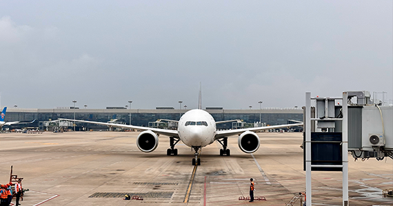 分享一键查询网址域名