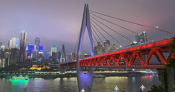 查询网址的域名服务器